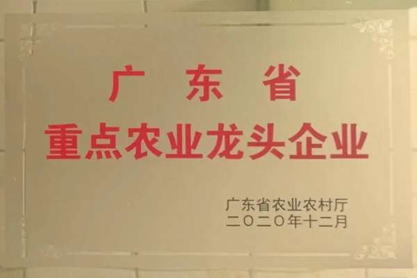 广东省重点农业龙头企业申报，截止5月31日！