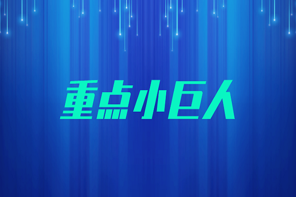 广东2022年重点小巨人资金分配公示